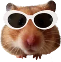 HamSunglasses