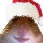 xmsHamSanta