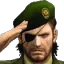 salute