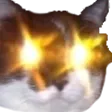 cat_targetsighted