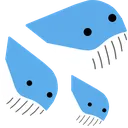 Whalecum