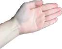 reverseslap reverseslap