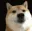 Dogebrrrr