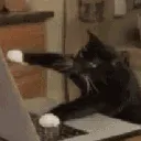 Cattohacker