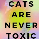 Safekitty Discord Emoji