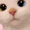 c_kittylove