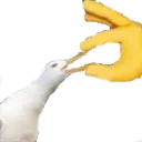 Unshut