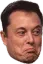 elon