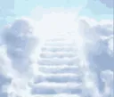 TakoAscending TakoAscending