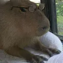 capysmart