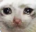 fc_sadcat Discord Emoji