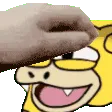 PetSlowpoke