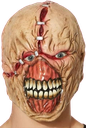 nemesis