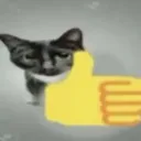oppositeoffucyou