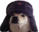 doggo