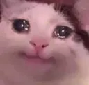 SadCat Discord Emoji