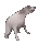 dogdance dogdance
