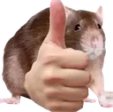 ThumbsUpRat