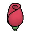 Rose_Bloom