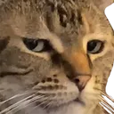 unamused