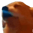 dogJAM dogJAM