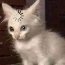 ket_thonk