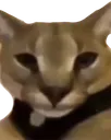 hecker