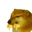 Cheems_Bad Cheems_Bad