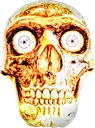 sunskull