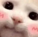 blushy2