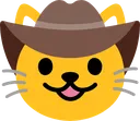 cowboycat3