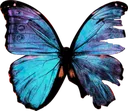 PBlueButterfly