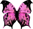 PPinkButterfly