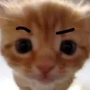 2sus