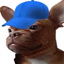 tdcap