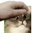 HGJpat HGJpat
