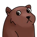 BearConcernR