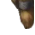 Breach3