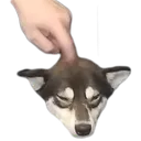 sushithink