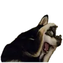 AAAAAAAAAAAAAAAAAAAAAAAAAAAAAAAA