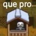 quepro quepro