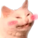 dDuplouwu