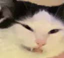 tsk