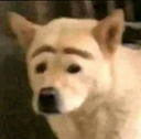 KS_doglul Discord emoji
