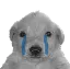 SB_SadDoge