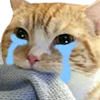 pepeCry