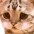 KEKWait