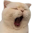 Yawn