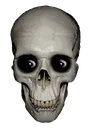skull4