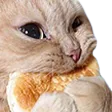 peepoFat